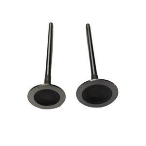 Piezas de automóvil 1,6 T válvulas de admisión y escape del motor para Peugeot 3008 207CC 308CC 308SW RCZ Citroen C4 C4L <span class=keywords><strong>DS5</strong></span> OE 0948E8 0949E2 - Product Image 4