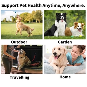 Toallitas Húmedas para Mascotas para Eliminar Manchas de Lágrimas <span class=keywords><strong>en</strong></span> los Ojos, Hipoalergénicas, Sin Perfume, Sin Alcohol, Suaves, Seguras, Naturales, para Limpiar los Ojos de Perros y Gatos - Product Image 6