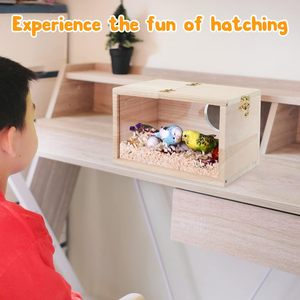 Parakeet Lồng Hộp Thiết Kế Trong Suốt Bird Nest Chăn Nuôi Hộp Với Cá Rô Gỗ Lồng Chim Nhà Cho Parrotlets - Product Image 5