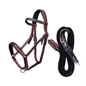 Bride de cheval en cuir de luxe, style anglais, faite à la main, avec frontale personnalisable en couleur et taille (Cob, Full, sur mesure) - Product Image 5