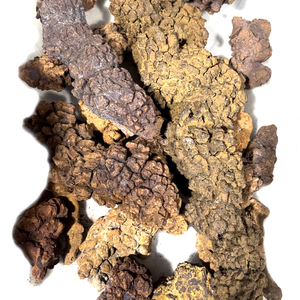Venta al por mayor a granel de dinosaurio fósil natural, <span class=keywords><strong>coprolito</strong></span>, piedra de cristal fósil para colección de regalos - Product Image 1