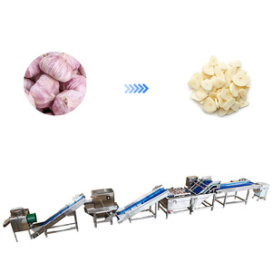 Industrielle Knoblauchschäl- und Verpackungsverarbeitungslinie - Product Image 1