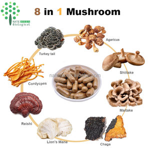 8 in 1 organik karışık mantar özü tozu aslanlar Mane, Reishi, Cordyceps, <span class=keywords><strong>Chaga</strong></span>, Shiitake, Maitake - Product Image 5