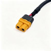 Connecteurs de chargeur de batterie personnalisés en usine Amass XT30 XT30U XT60 XT60U XT90 XT90S et T-Plug avec câbles d'alimentation/rallonges