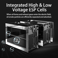 Purificateur électrostatique 10000 m³/h 99% pour cuisine commerciale, filtre ESP, équipement de précipitation électrostatique de fumée de cuisson, usine OEM
