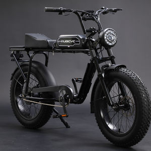 Livraison gratuite Adultes E City Bike 20 pouces Ebike 1000W 48V Puissant VTT électrique Gros pneu Vélo électrique - Product Image 2