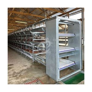 Cages à poulet de couche d'importation de conception pour la ferme de poulet de 500 oiseaux à 50,000 couches - Product Image 1