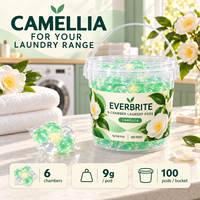 Produsen 9g 6-Chamber Camellia Laundry Detergent Pods 70 Pod Per Ember Label Pribadi OEM