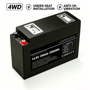Batteria LiFePO4 Slimline 12V 200Ah Ultra Sottile 2560Wh per Fuoristrada, Ciclo Profondo per 4WD SUV Campeggio con BMS - Product Image 1