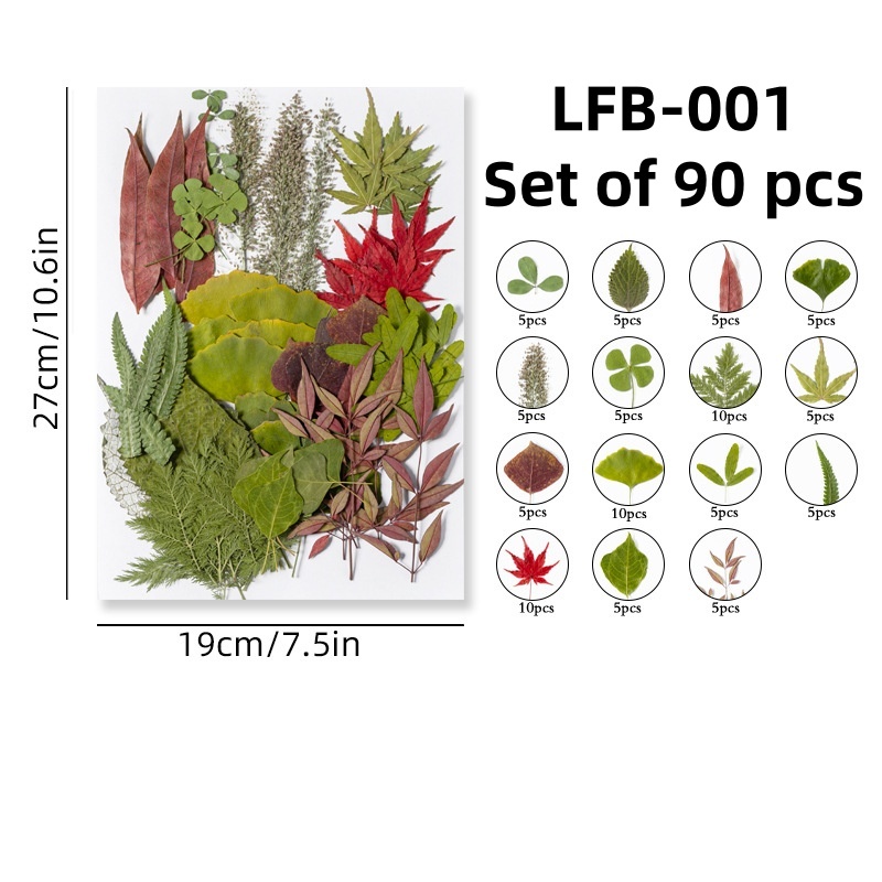 LFB-001