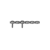 Plaque de fixation en acier inoxydable pour chirurgie orthopédique vétérinaire, implant de traumatologie, type « String of Pearls »
