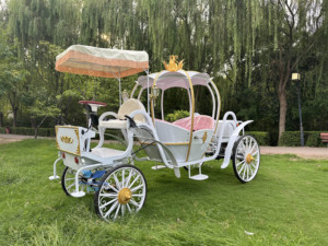 HengYiSheng Carrosse Électrique Citrouille Royale - Utilisation Mariages et Parcs d'Attractions Origine Henan - Product Image 3