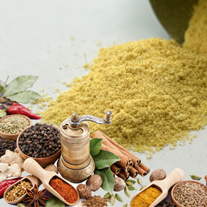 5 mélanges d'assaisonnement pour poulet frit BBQ en poudre - Vente en gros usine - Sachet <span class=keywords><strong>de</strong></span> 10g pour la maison, la <span class=keywords><strong>cuisine</strong></span>, les restaurants et les plats à emporter - Product Image 2