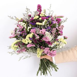 Conserver me — mésotis coloré, durable, conserve sans bâton, pour la décoration de la maison, 5 pièces - Product Image 1