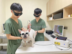 Laser terapi Diowave genggam, peralatan dokter hewan terapi sinar merah rambut Laser terapi Diode genggam - Product Image 2