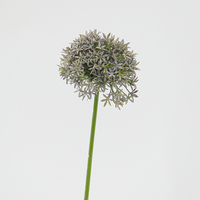 Bouquet de fleurs artificielles Real Touch KL Dandelion pour la décoration de la maison, Noël, Thanksgiving, la remise des diplômes, le jardin, le restaurant, l'hôtel