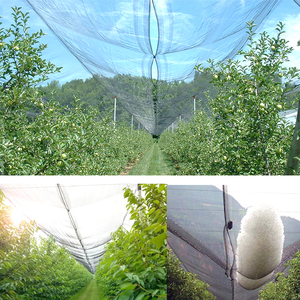 ตาข่ายป้องกันลูกเห็บสำหรับต้นแอปเปิ้ล ต้นเบอร์รี่ ต้นส้ม ต้นผลไม้ในสวนผลไม้และไร่องุ่น ทำจากพลาสติก HDPE แบบถัก - Product Image 3