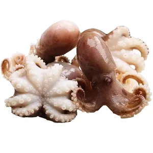 Factory wholesale price new arrival frozen small octopus high quality frozen seafood high nutritional value frozen octopus