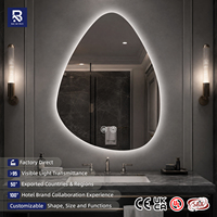 Miroir de salle de bain LED sans cadre en forme de goutte d'eau, rétroéclairé, forme goutte de rosée organique, miroir intelligent anti-buée tactile pour hôtel de luxe et décoration de villa