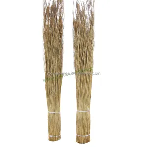 Hot sale sweat water natrual thatching water reed for roof