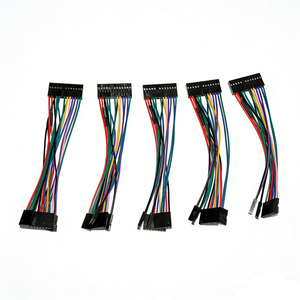 Özel Yüksek Kaliteli Konnektörler 2 pin'den 10 pin'e Kablo Demeti Kablo Terminali Kablo Demeti - Product Image 1