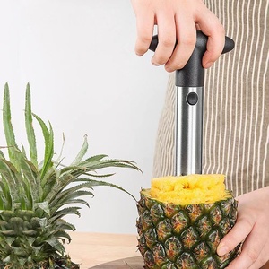 Couteau manuel en acier inoxydable pour éplucher <span class=keywords><strong>et</strong></span> retirer le cœur d'ananas avec extracteur de noyau <span class=keywords><strong>et</strong></span> séparateur de fruits – Outil sûr pour légumes - Product Image 1
