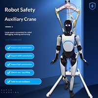 Grue de levage robotisée intelligente anti-chute et anti-déplacement, dispositif de levage humanoïde électrique silencieux multicolore
