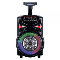Système de sonorisation portable sans fil 8 pouces pour intérieur et extérieur, enceinte DJ stéréo, boombox sans fil