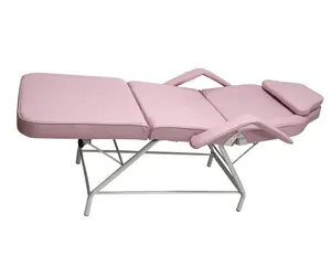 Professional Beauty Salon Equipment Furniture Facial Chair Bed Tattoo Bed Chair