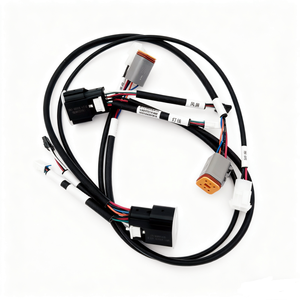 Memanfaatkan kabel listrik, pabrik profesional pemutus sirkuit kustom kabel listrik perakitan kabel Harness - Product Image 1