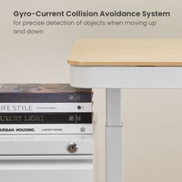Vente chaude Table Intelligente Moteur Unique Électrique Ergonomique Debout Hauteur Réglable Bureau Avec Tiroir Ports USB Bureau À Domicile UK Canada
