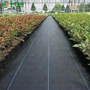 Toile <span class=keywords><strong>géotextile</strong></span> <span class=keywords><strong>anti</strong></span>-mauvaises herbes en HDPE tissé haute densité, couverture de sol de <span class=keywords><strong>jardin</strong></span>, barrière <span class=keywords><strong>anti</strong></span>-mauvaises herbes noire extrudée, spécifications personnalisées - Product Image 2