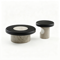 Table basse papillon moderne minimaliste italienne en noyer avec rangement, meuble d'angle pour salon