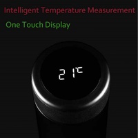 Bouteille d'eau isotherme intelligente en acier inoxydable avec affichage LED de température, grande capacité, pour infusion de thé en gros