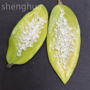 Polypropylène vierge homopolymère PP granules PP matière première plastique polypropylène matière première prix qualité d'injection pour jouet - Product Image 5