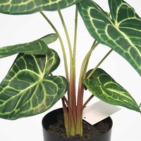 Plante artificielle de taro de 40 cm de hauteur, décoration de salon, faux petit bonsaï