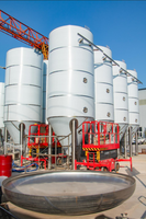Réservoir de fermentation de bière artisanale Tonsen 20000 L 200HL 20T en acier inoxydable avec contrôle de la température de refroidissement