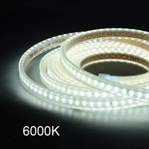 OEM açık su geçirmez IP68 2 lümen tek satır 3 satır kablosuz 11mm PCB 96leds 60leds/m AC220V 5050 şerit led bant ışık