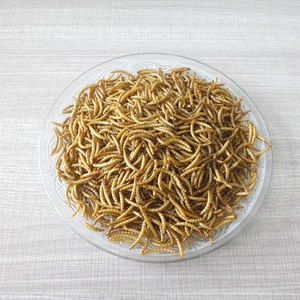 <span class=keywords><strong>Mealworm</strong></span> seca alta proteína em massa para pássaro selvagem 5 kg - Product Image 5