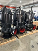 Pompe submersible pour eaux usées agricoles d'irrigation et de drainage 15kw 20hp 120m³/h 25m Pompe à haute pression Pompe submersible pour eaux usées WQ