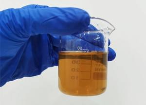 キノコシリーズ原料エキスPleurotusOstreatusエキス乾燥イエローオイスターマッシュルームパウダー - Product Image 3