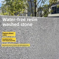 Revêtement Liquide Effet Pierre Lavée Wufushan pour Intérieur et Extérieur, Longue Durée de Vie, Couleurs au Choix pour Jardin, Cour, Villa, Allée