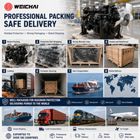 Moteur diesel Weichai WD61561-308 191kW 2000 tr/min refroidi par eau en stock SCDC pour machines de construction, minières et industrielles