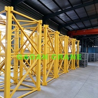 Grúa Torre, Grúa de Pluma, Grúa de Plataforma QTZ80(6012) Carga Máxima 6t Carga en Punta 1.2t Longitud de Pluma 60m para Construcción de Edificios