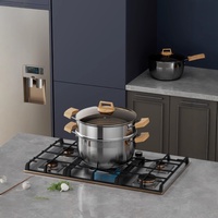 Yolecen moderne épaissi en acier inoxydable 304 marmite à soupe à deux couches marmite à vapeur à Double oreille cuisinière à Induction pour gaz domestique
