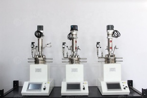 bibo HXCHEM NOUVEAU Réacteur de mélange chimique en acier inoxydable ASME 0,5 L, réacteur haute performance à prix compétitif directement du fabricant - Product Image 4