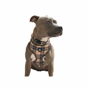 Arnés Para Perro Marrón Negro Y Rojo Check Tartan - Product Image 1