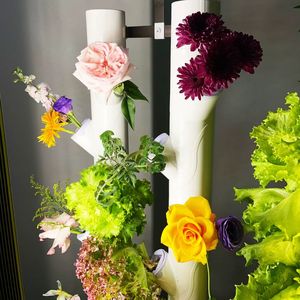 Macchina Digitale per Coltivazione Idroponica di Verdure, Moderna, in Plastica Ecologica, Coltivazione Senza Suolo per Uso Domestico in <span class=keywords><strong>Cucina</strong></span>, Controllo Remoto WiFi - Product Image 1