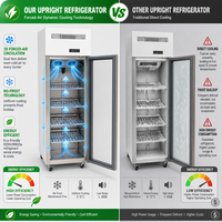 Réfrigérateur commercial vertical à porte vitrée simple pour boissons, avec refroidissement par ventilateur et éclairage LED, idéal pour café, salon de thé, pub
