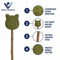 Bâtonnets de friandises à la catnip, 6 formes assorties, jouets à mâcher aux herbes, herbe verte compressée, bâtonnets en bois naturel